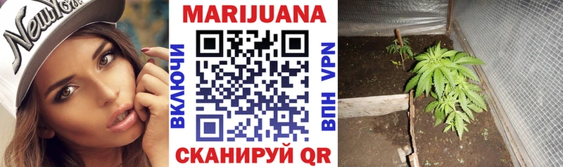 купить  сайты  Курск  Марихуана конопля 